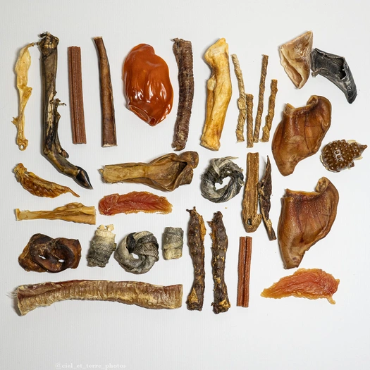 Coffret Mastication - 0% charge mentale, 100% plaisir Visuel 1 principal